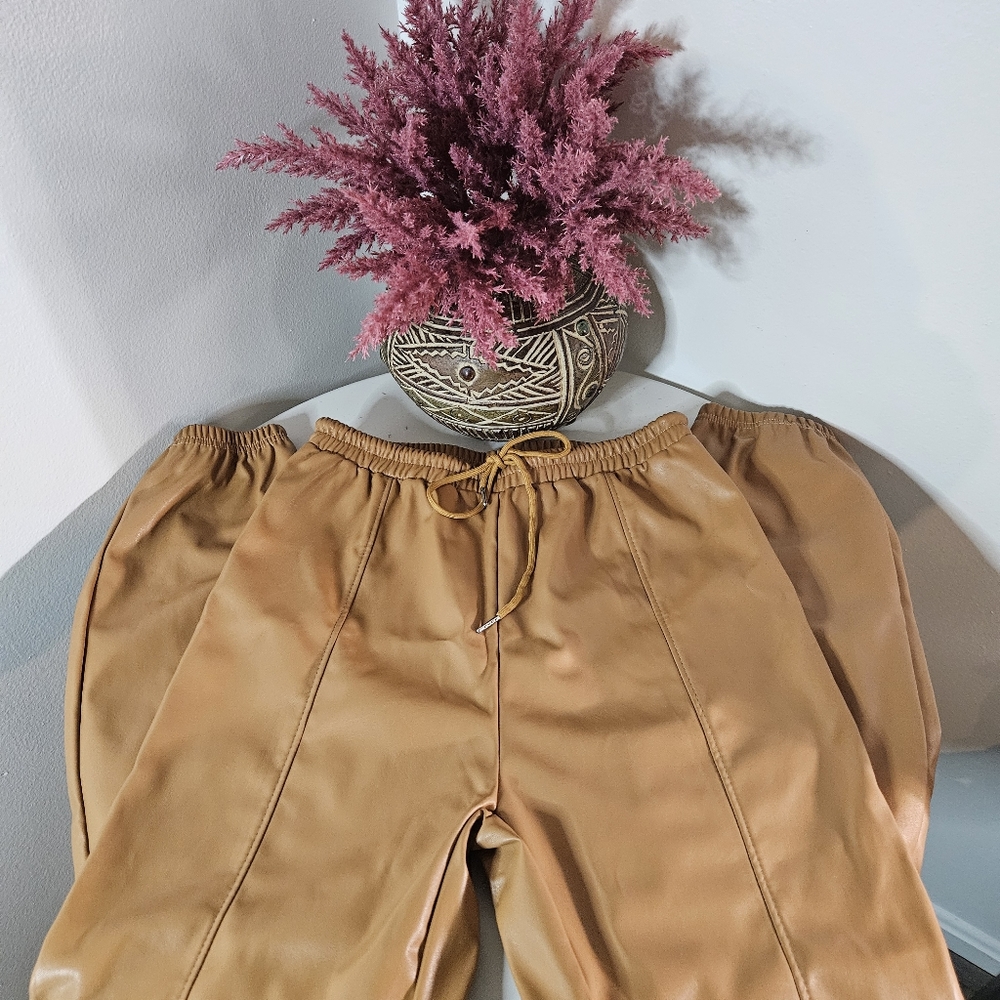 Faux leather pants